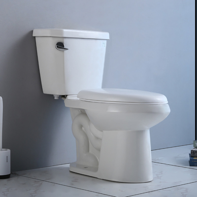 17“ 20“ het Bidetreservoir van 19 Duimada comfort height toilet and voor Kleine Ruimte