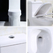 ADA One Piece Elongated Toilet-de Stijl Ceramische Hoek van Europa van het PorseleinWatercloset Witte