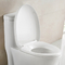 S de Toilettenkom van de Val Naadloze Badkamers met Ada Height Design