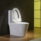 Ceramische Materiaal Verlengde Kom het Toilet van 1 Stukcupc met Zacht - sluit Seat