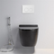 Stil Muur Opgezet Toilet Compact Dubbel Gelijk Watercloset met Comfortabele Seat-Hoogte