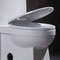 Compact Ééndelig Toilet met Zij Gelijke Kaart 1000 Amerikaans Standaard1pc-Toilet