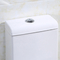 1.0 Ceramische Amerikaanse Standaard Ééndelige Dubbele het Toiletladenkast van Gpf
