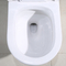 Wit 1 Ééndelige Dubbele Gelijke het Toilets Val 300mm van de Comforthoogte“ Ruwe bewerking 10 binnen