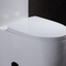 Ada American Standard Floor Mounted-KAART 800G van het Toilet de Ééndelige Watercloset