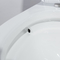 28“ 1,28 Gpf Dubbel Gelijk Ééndelig Toilet 10 Duim Ruw in Amerikaanse Norm