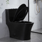 De Toiletten Matte Black 1 Stuk Dubbele Toilet Verlengde Ceramische Siphonic van Iapmobadkamerss