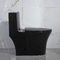 De Toiletten Matte Black 1 Stuk Dubbele Toilet Verlengde Ceramische Siphonic van Iapmobadkamerss
