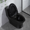 De Badkamersstoiletten Matte Black Csa Toilet With 10,5 van de sifon Dubbele Gelijke Klep Ruw in Zwarte