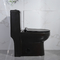 Ééndelige het Toilet Hoogste Gelijke Vloer van hotelsiphonic - opgezette Zwarte 690x360x810mm
