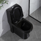 400mm Siphonic Ééndelige Toilet en Bidetwc voor de Flat van de Hotelvilla