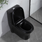 300mm Siphonic Ééndelig Toilet Amerikaans Standaard Zwart Porselein