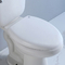 10 duim Ruw in het Spoelende Toilet van Ada Comfort Height Toilet Siphon om Voorzijde