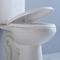 10 duim Ruw in het Spoelende Toilet van Ada Comfort Height Toilet Siphon om Voorzijde