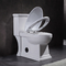 De Toilettenvloer van luxebadkamerss - de opgezette Verklaarde Toiletten van WC Watersense