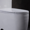 21 duim Ada Comfort Height Toilet 1,6 Ééndelig Lang de Ladenkastporselein van Gpf