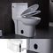 Modern Één stuk Begrenst Toilet om Hoogte van het zetel de Witte Verlengde Comfort