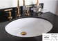Witte Zwarte Ovale binnen Verglaasd Nominaal van Ada Bathroom Sink Wall Hung Cupc