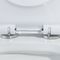 Het verglaasde Ceramische Dubbele Gelijke Ééndelige Ruwe Toilet van Siphonic 12 Duim binnen