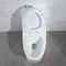 Het verglaasde Ceramische Dubbele Gelijke Ééndelige Ruwe Toilet van Siphonic 12 Duim binnen