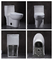 De Gelijke Siphonic Dichte Gekoppelde Sanitaire Waren van Ada One Piece Toilet Single