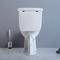 Randloze Tweedelige Spoelende de Badkamersriem 250mm 300mm van de Toilet Ceramische Sifon