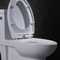 10 duim Ruw in Ada Comfort Height Toilet For Gehandicapt Rv met Machtsvloed