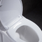 Ééndelige Toilet Ada Silence Slow Down Cover van Watersense het Dubbele Gelijke Siphonic