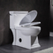 Ééndelige Toilet van het toilet het Standaardhoogte Begrenste Toilet met Zij Gelijke 4.8LPF
