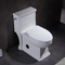 Ceramische Ada One Piece Skirted Toilet-Verlengd Compact van het ToiletWatercloset