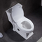 Handicap Amerikaanse Standaardada elongated toilet het Behoud van het 1 Stukwater