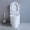 De Ééndelige Ceramische Badkamers van 19 Duimada comfort height toilet elongated