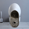 Verlengde Compacte Ada Toilet 19 Duim de Krachtige van de Stempelsifon Standaardhoogte