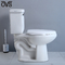 Porseleinwashdown het Tweedelige Watercloset van de Toiletbadkamers Geïntegreerde Sifon