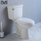 Ambulante Gehandicapte Ada Comfort Height Toilet 18 het Scheiden van“ 19 Duimroostic