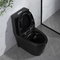 1.6 Ééndelige het Toilet Amerikaanse Norm van Gpf Matt Black Dual Flush Elongated