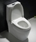 Hoogste Gelijk Één stuk Verlengd Toilet met 11 Duim Ruw in de Dekking van Vertragingsseat