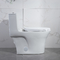 Het openbare Watercloset van Iapmo Ada American Standard Elongated Toilet van Badkamersstoiletten Ééndelige