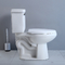 Wit Zwart Tweedelig Toilet 1,28 van CUPC het Waterclosettank van GPF
