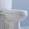 Wit Zwart Tweedelig Toilet 1,28 van CUPC het Waterclosettank van GPF