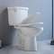kies gelijke tweedelige verlengde toilet Juiste Hoogte 12“ Ruw in Riem uit