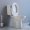 kies gelijke tweedelige verlengde toilet Juiste Hoogte 12“ Ruw in Riem uit