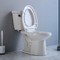 Ceramische Tweedelige van de Toiletkom Hoge Witte S Val 300mm van WC Badkamersladenkast