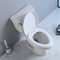 Ceramische Tweedelige van de Toiletkom Hoge Witte S Val 300mm van WC Badkamersladenkast