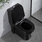 Zwarte Één stuk Verlengde Toiletten 1,6 Gpf-Sifon Jet Toilet Flushing Systems
